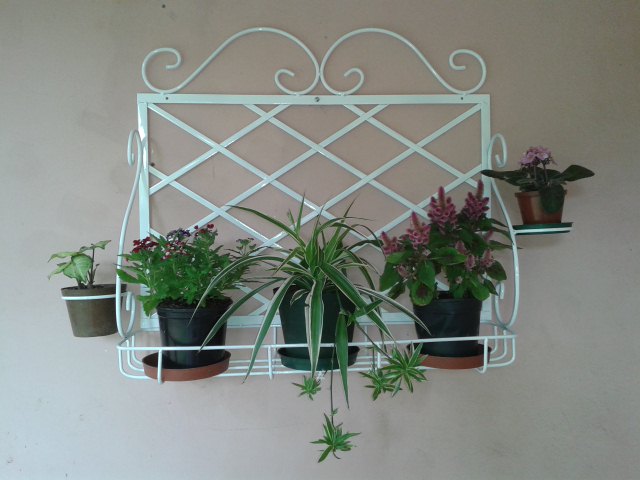 Single Row Wall Pot Stand